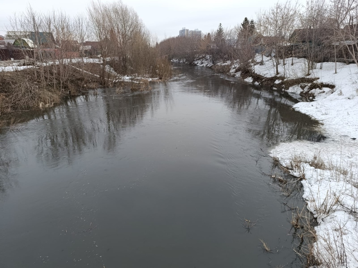 Фото: Светлана СОСНИНА