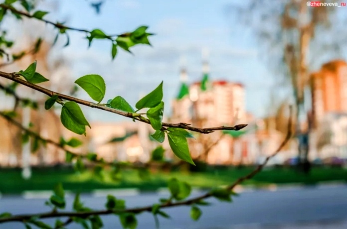 Весна 2024 года...