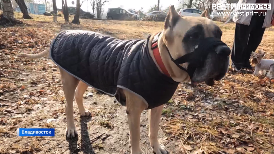    Источник фото: