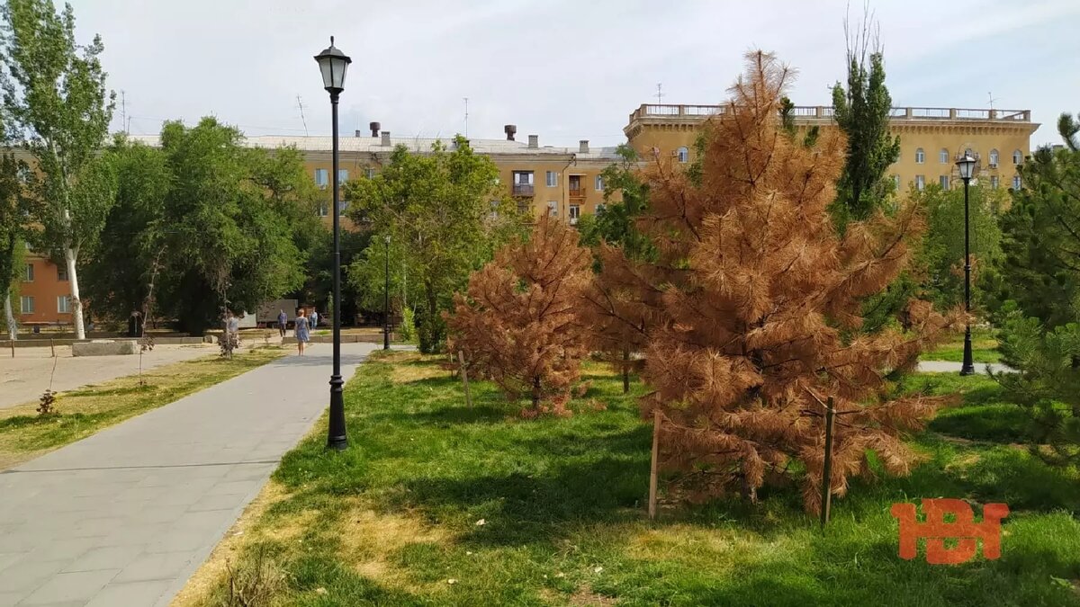     Источник: novostivolgograda.ru