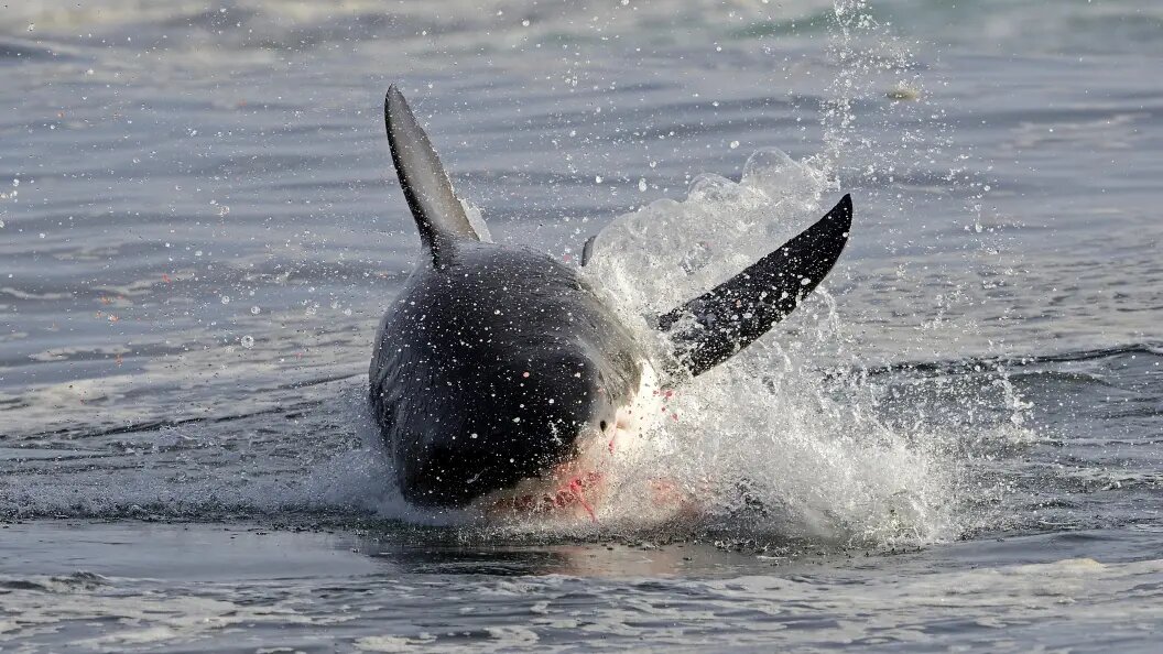    Фото: Ingo Schulz/Globallookpress