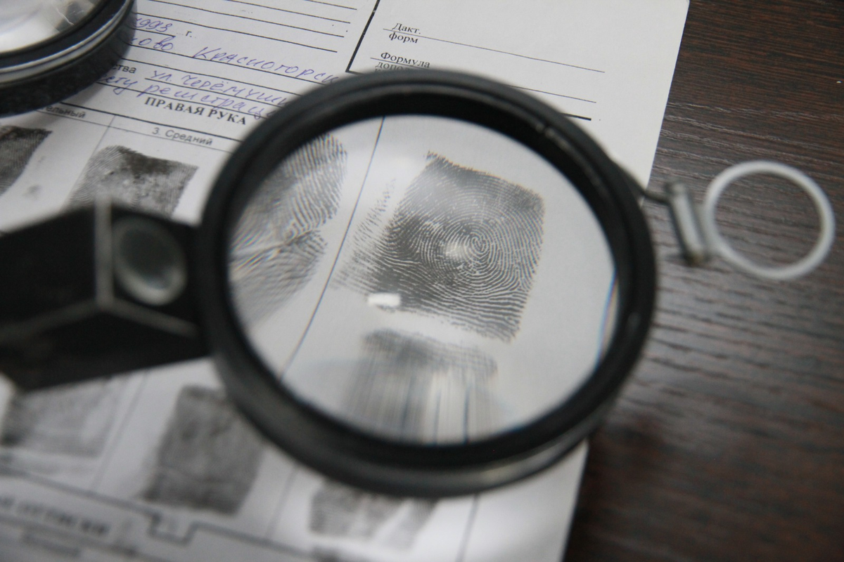 Результаты экспертизы шокируют. Фото: Виктор Крутов