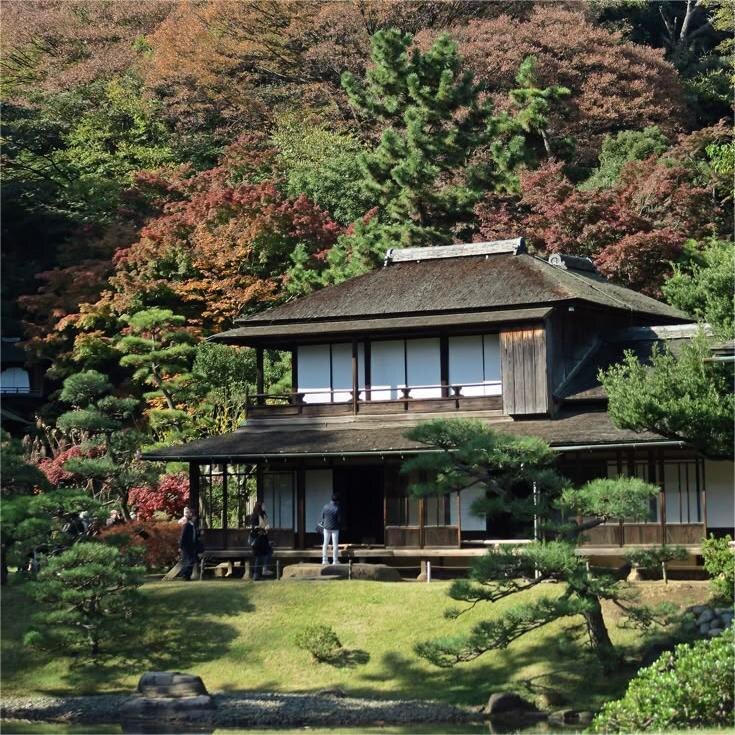 Японский стиль. Широкие крыши, большие решетчатые окна в пол. Хорошо подходит для малоэтажного строительства.