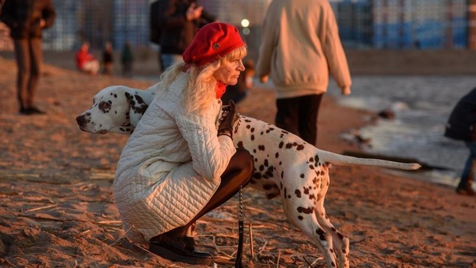    Автор фото: Ермохин Сергей/ДП