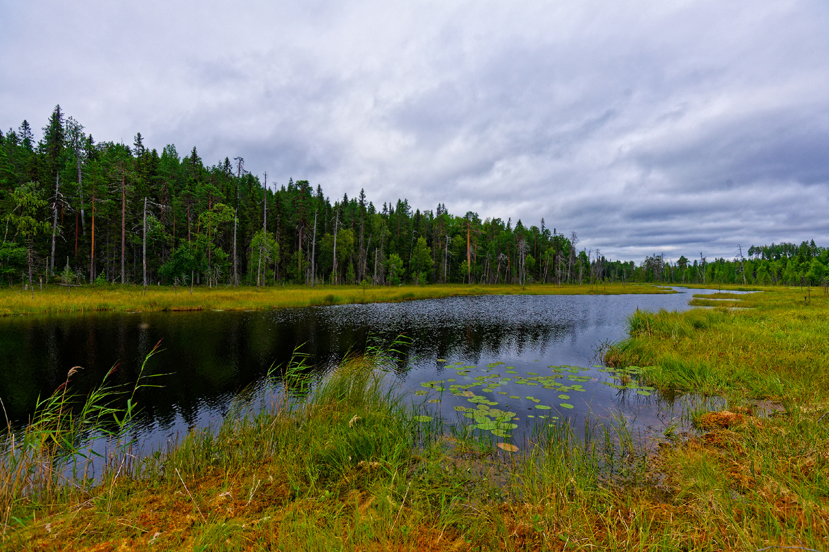 Фото: Иван Макеев