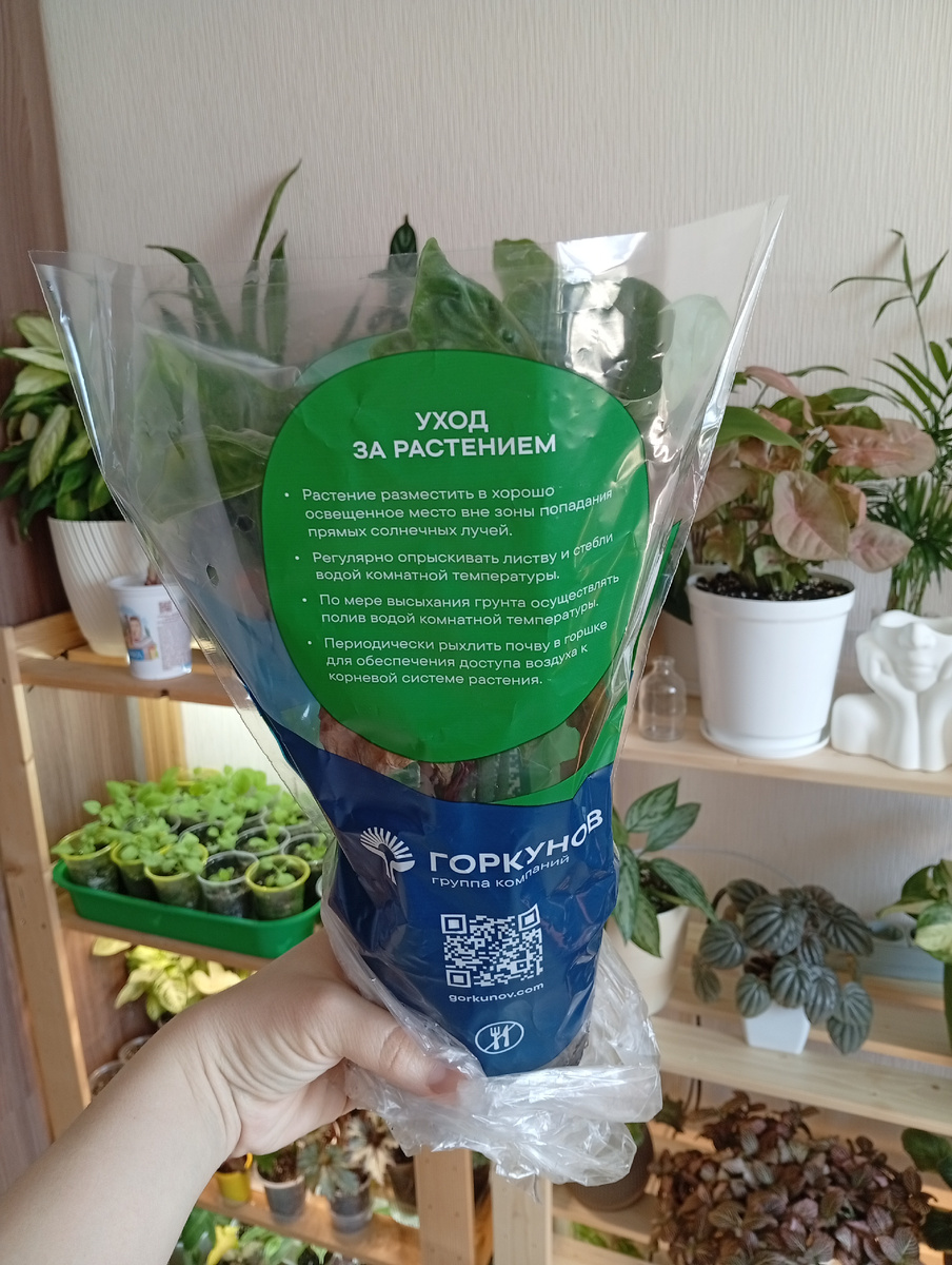 Рекомендации по уходу