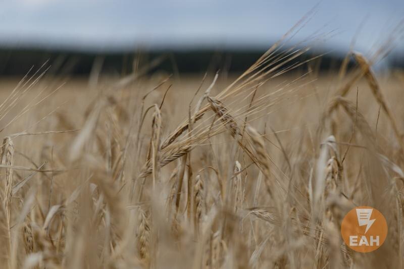    ЕАН / Архивное фото