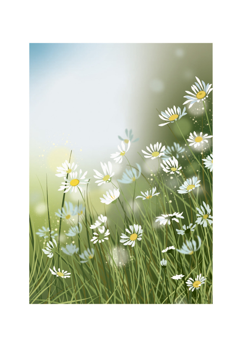 Постер из серии "Луговые травы" Автор Ольга Агапова.