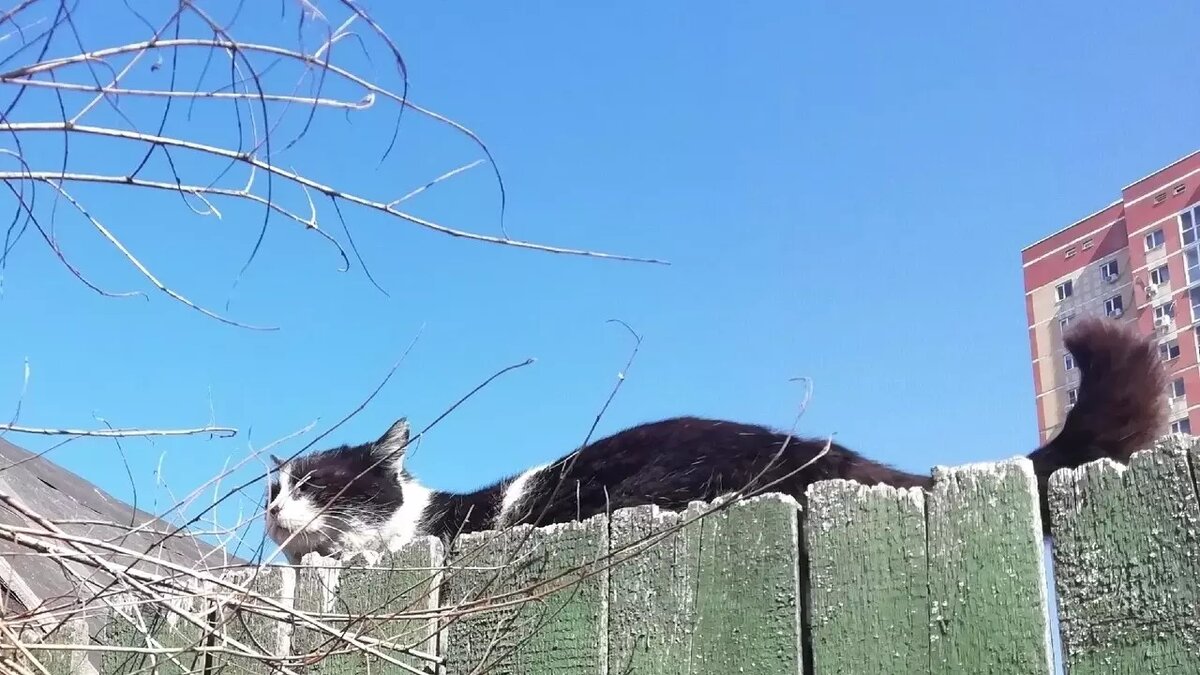     Источник: 1MI