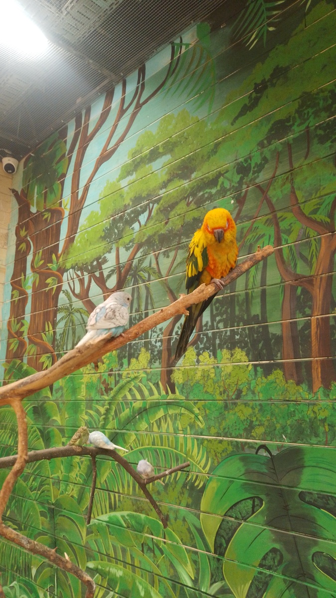 Это массовка)