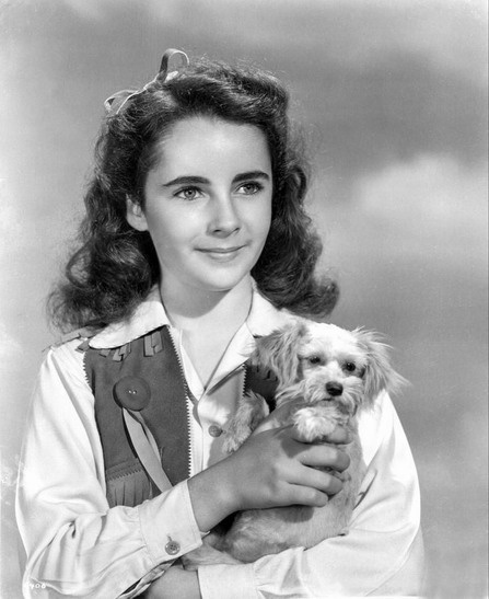 Все иллюстрации - Яндекс-Картинки