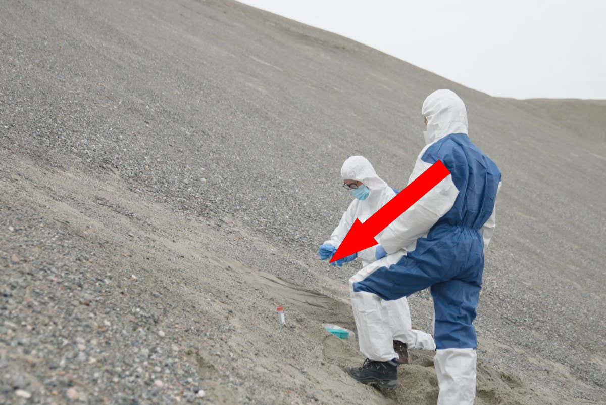    ДНК анализ: ключ к тайнам первых жителей Гренландии