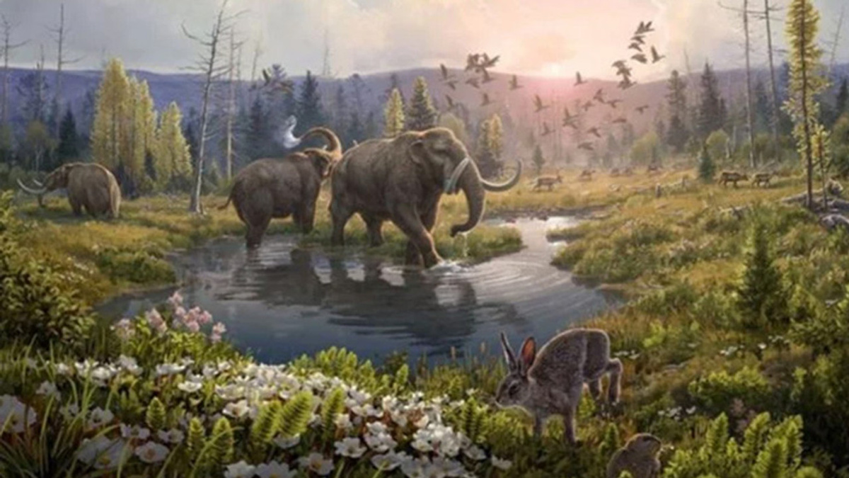    ДНК анализ: ключ к тайнам первых жителей Гренландии