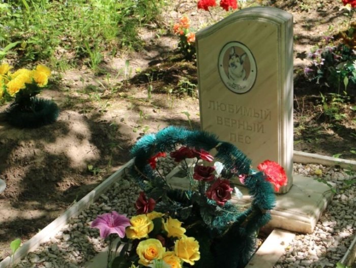 Фото «КП-Новосибирск».