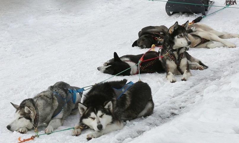 Фото с сайта primamedia.ru