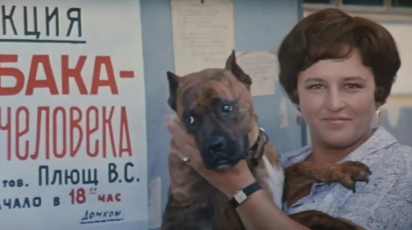 Кадр из фильма "Бриллиантовая рука"