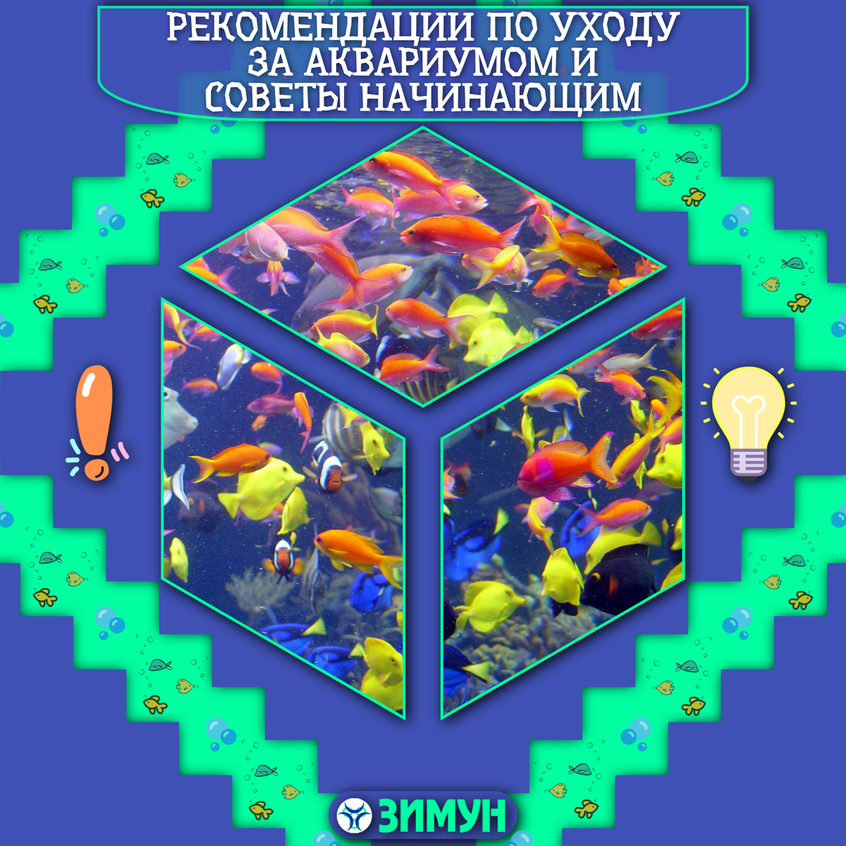 Заставка с рыбками на фоне