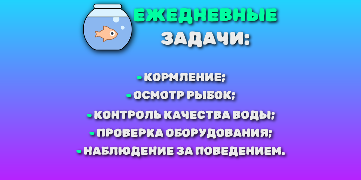 5 шагов к здоровому аквариуму