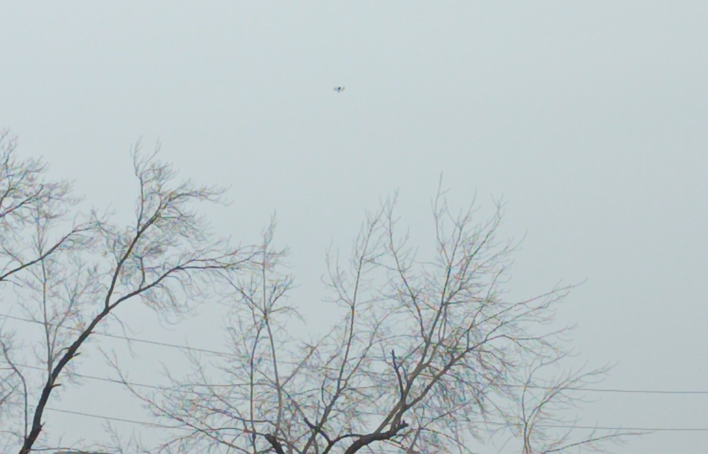  Фото: «ЧС Тюмень», vk.com