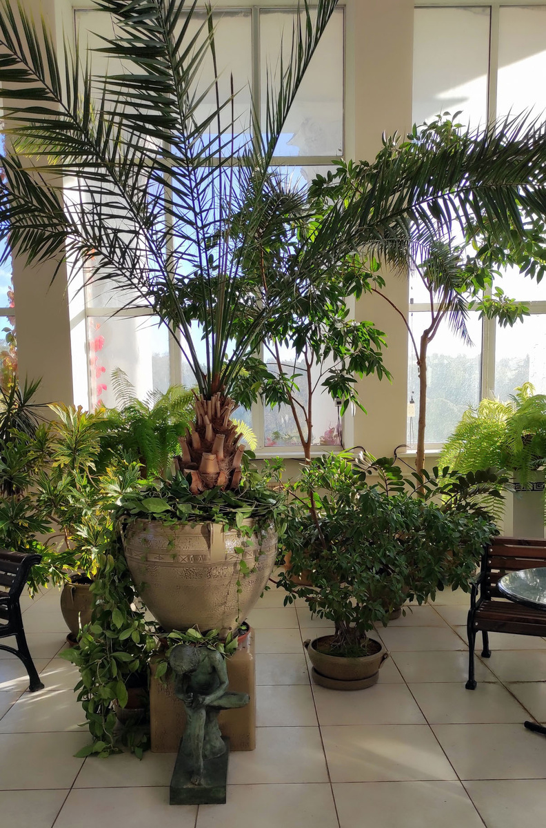 В Зимнем саду Лабораторного корпуса