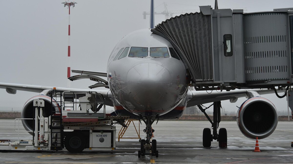    Фото: ИЗВЕСТИЯ/Александр Полегенько