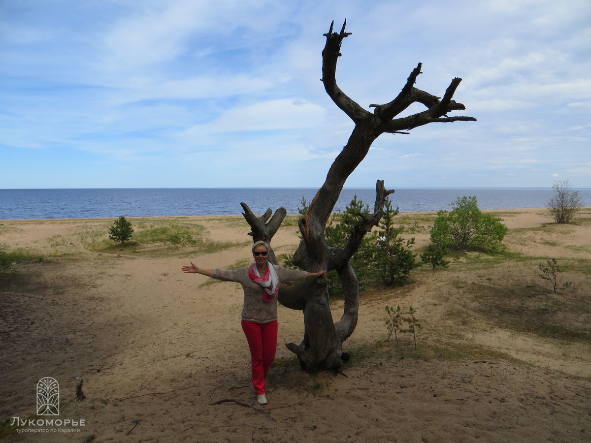 Ольга Лукина