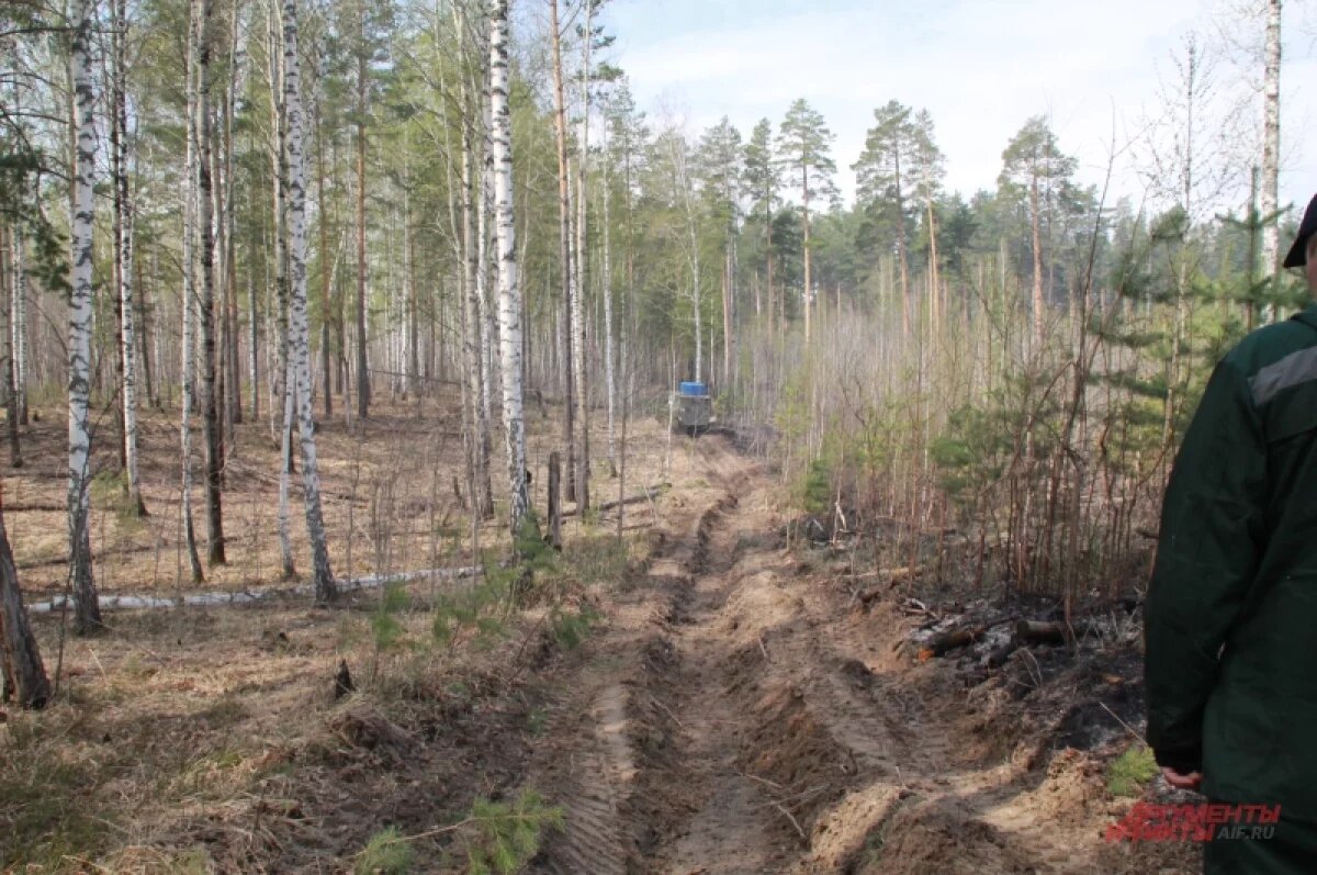    Томской области не хватает 60 млн рублей на авиамониторинг лесных пожаров