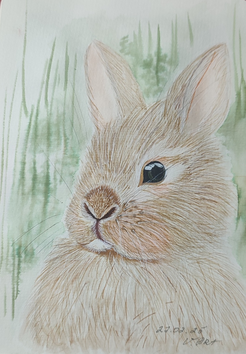Милый кролик. Аквамаркеры, цветные и чёрные лайнеры+белая гелевая ручка. 