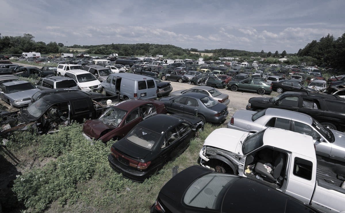 Источник Яндекс Картинки