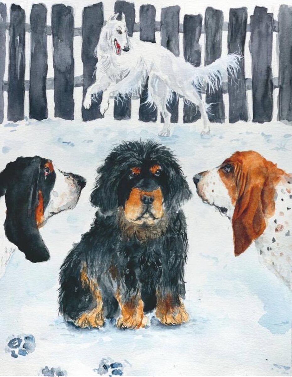 Иллюстрация из книги