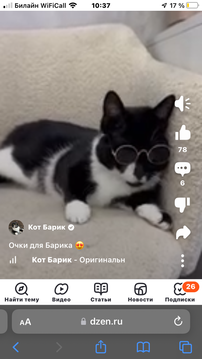 Рекомендую подписаться на канал «Кот Барик» 
