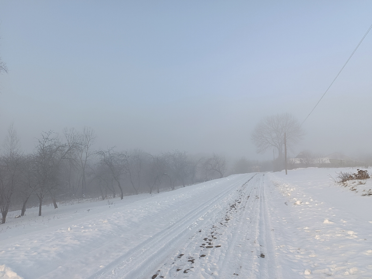 Утро. 28 февраля. Вид от моего дома