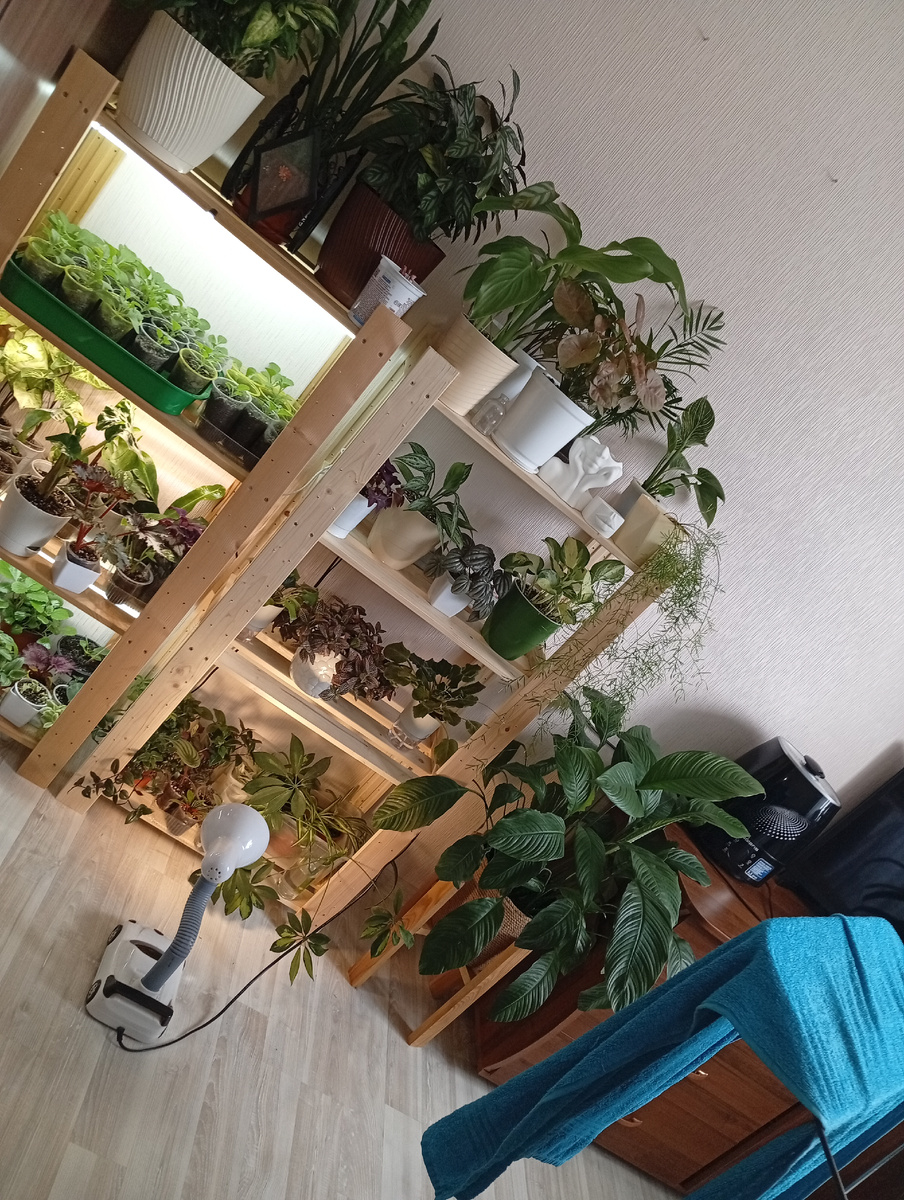 Ну прям всю сушилку в кадр это слишком, но немного видно. 