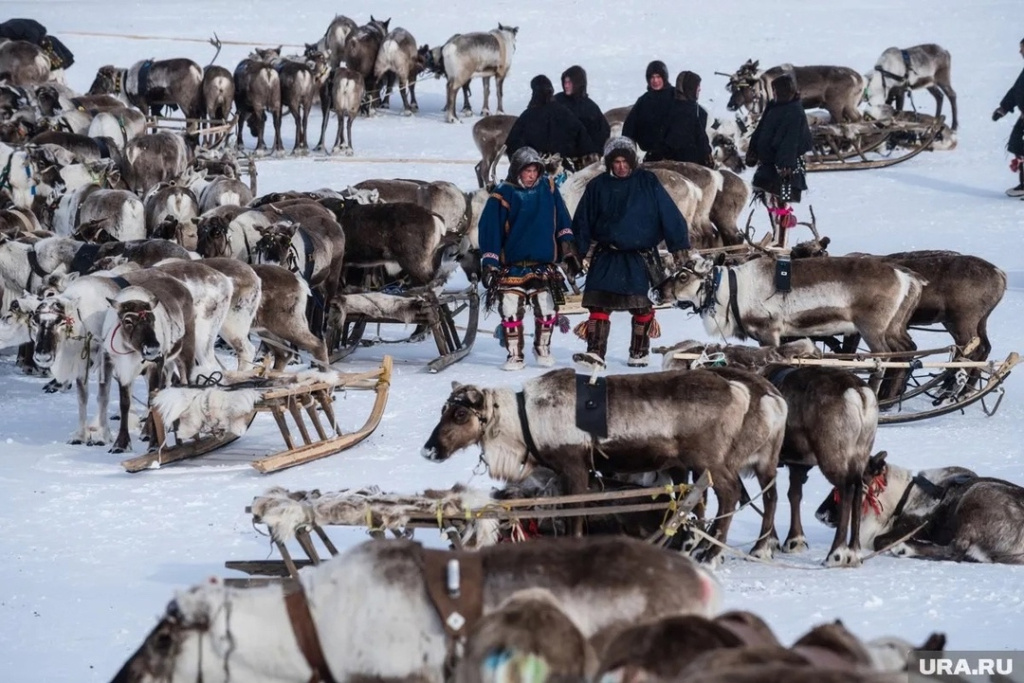   Ханты-Мансийск ждёт гостей: юбилейный конкурс оленеводов, гонки на упряжках и ярмарка северных деликатесов