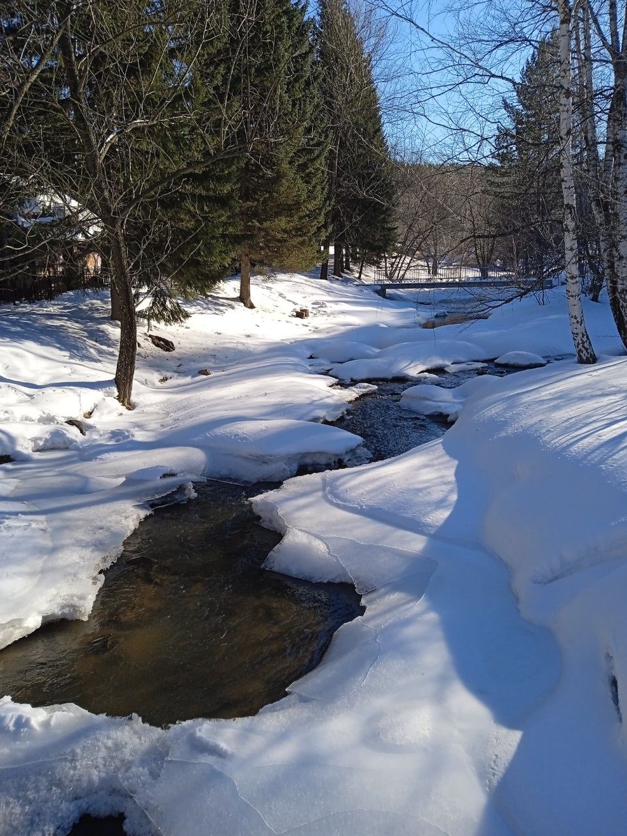 р. Белокуриха