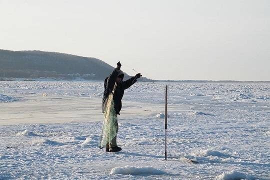    В Охотском море на льдине дрейфуют 200 рыбаков