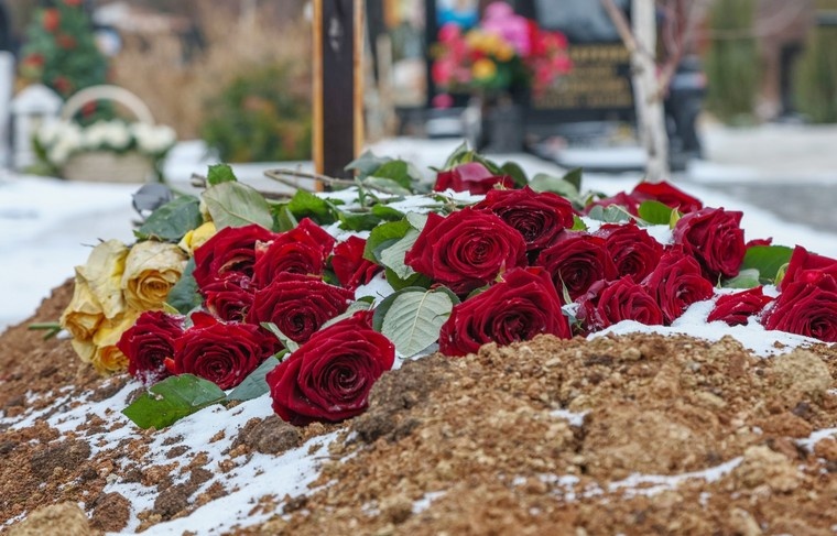    Наталья Шатохина/NEWS.ru