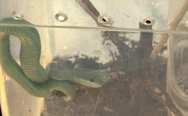    © ГБУЗ ЛО «Станция скорой медицинской помощи»