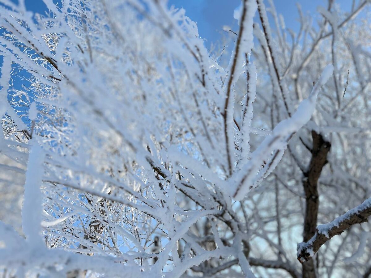     Красноярцев предупреждают о 39-градусных морозах в первый день весны