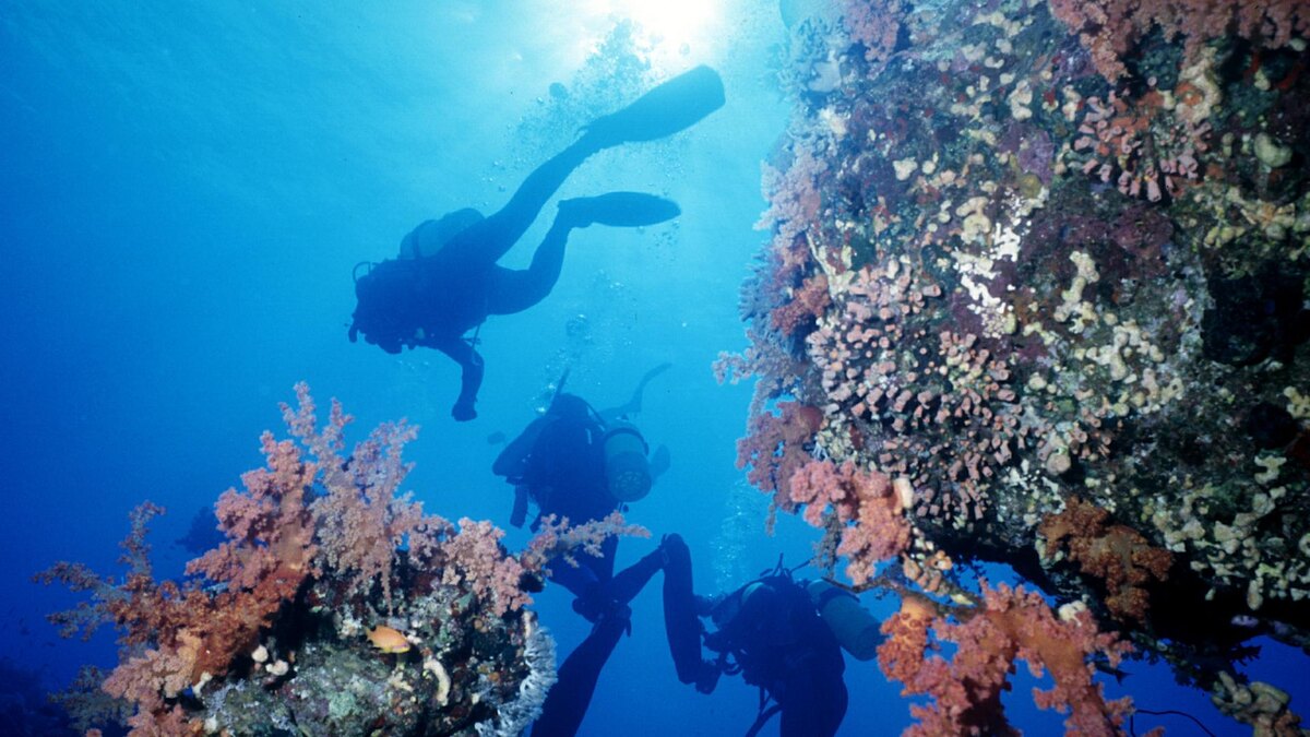 Фото: Roman Denisov/globallookpress.com