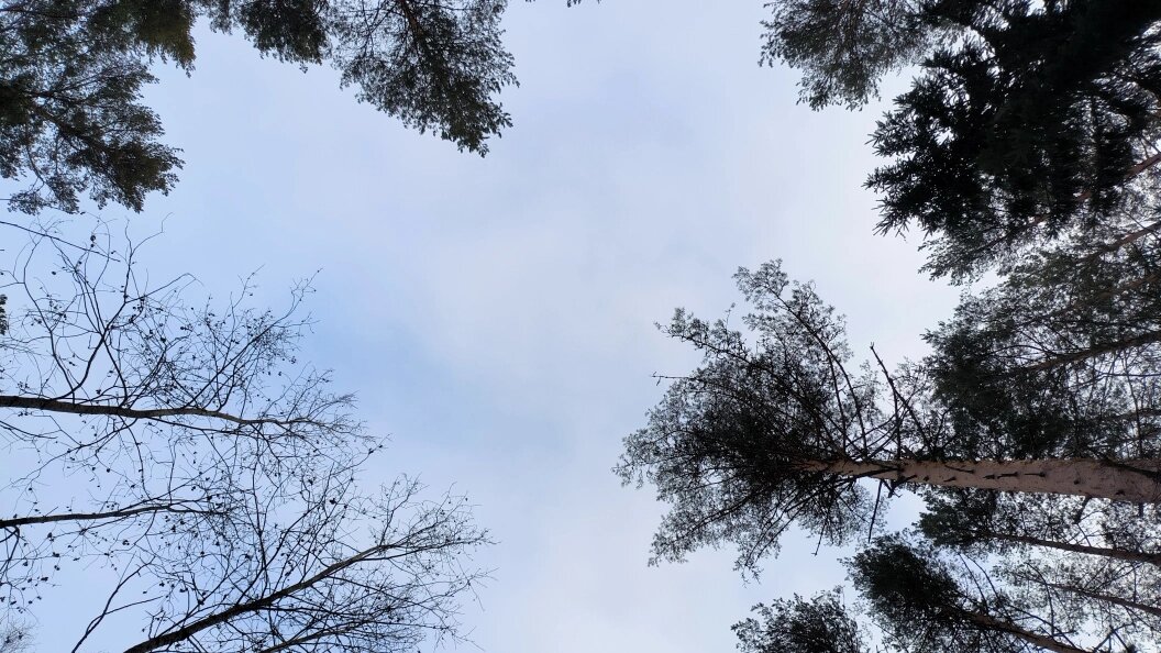    © Maksim Konstantinov/Globallookpress