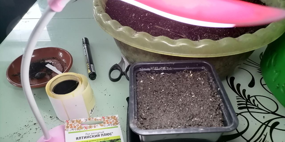 Посев лука на рассаду + мои прибабахи для посевов