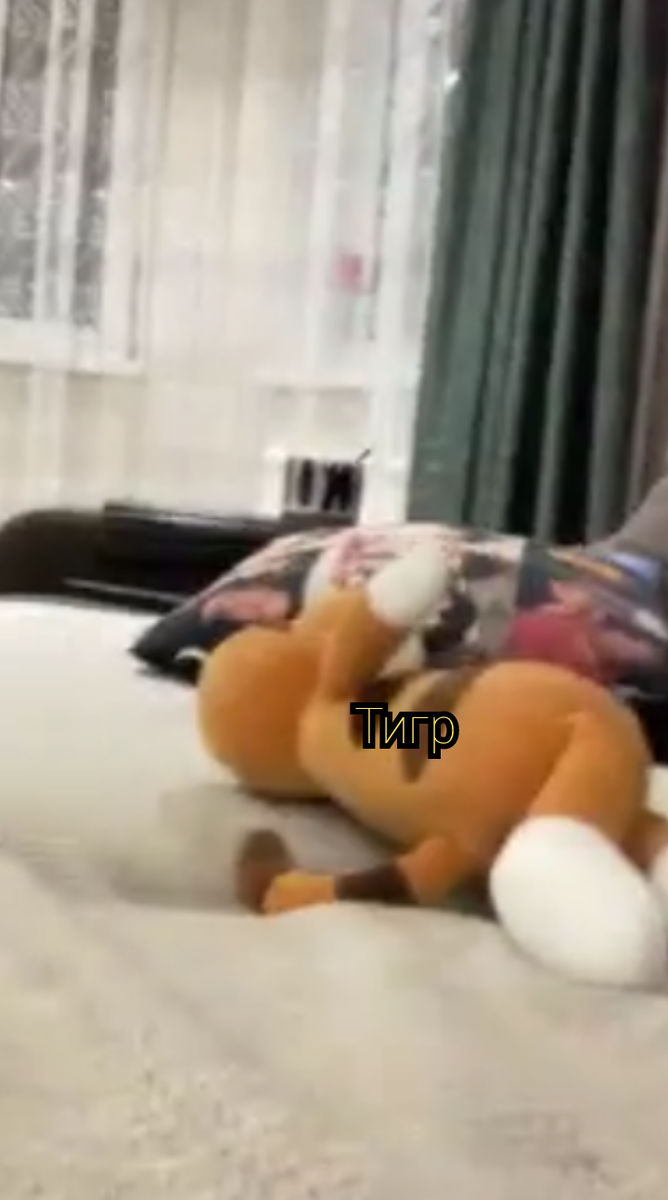 Тигр-один из самых слабых, среди сильных. Но давайте разберем его физическую силу. Во 2 части 2 серии гиганта, тигр, дрался наравне с гигантом. Тот был очень ловок и хетëр. Он мог с лёгкостью на прыгнуть на гиганта, и положить его. Но, тогда почему он на этом месте? А всë дело в том, что тигр, в бою с гигантом, показал нам не все свои способности и умения. Поэтому, он пока тут. Давайте перейдем дальше. 