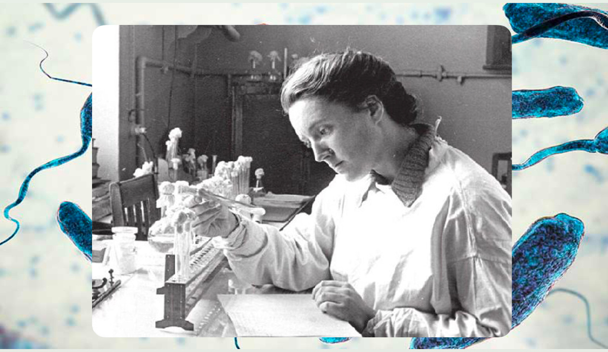 Зинаида Ермольева, советский микробиолог и эпидемиолог. Коллаж автора канала. Источник фото: https://histrf.ru/