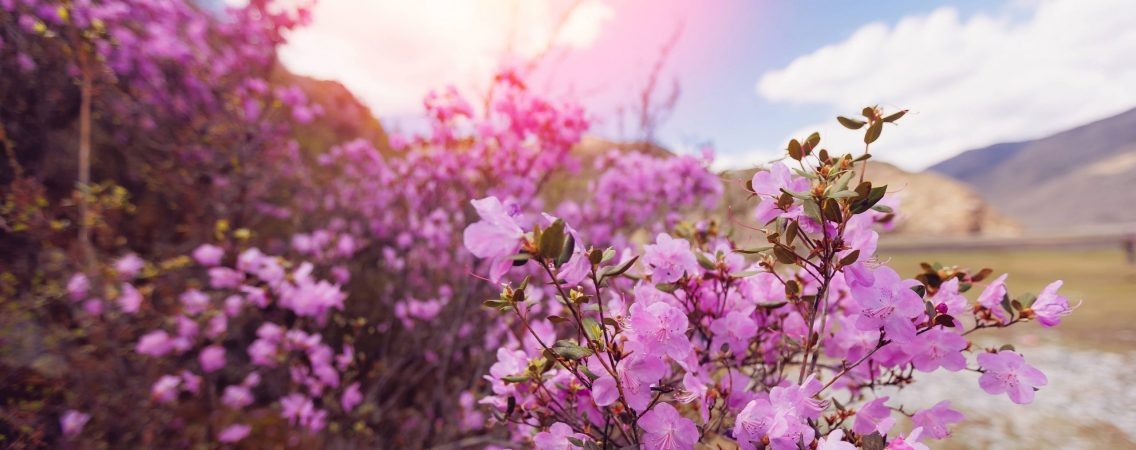 @Parilov/Shutterstock