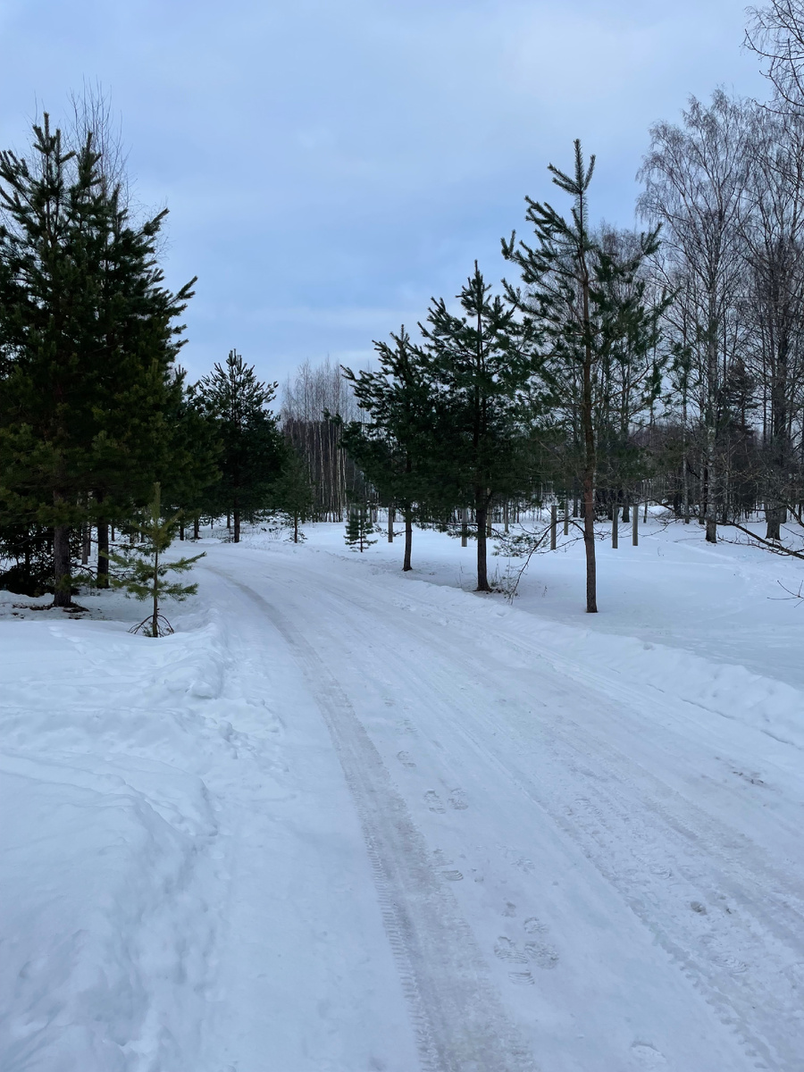 Это уже к вечеру-немного темнеет