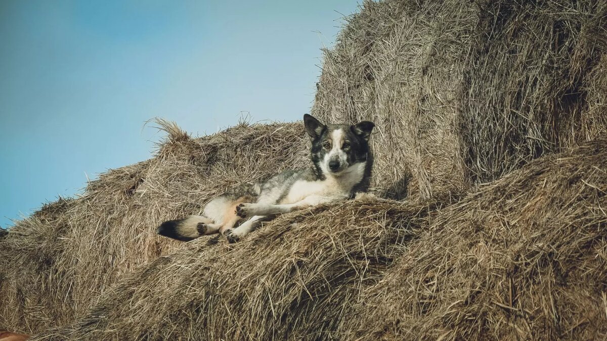     Источник: 1MI