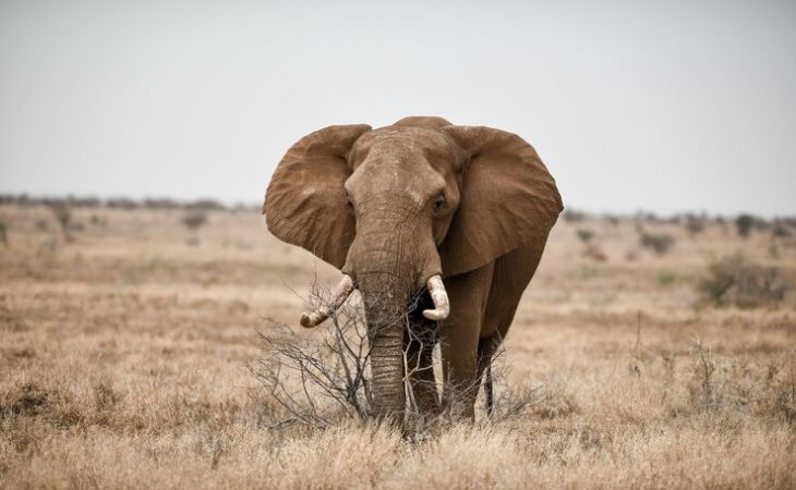 Фото:. freepik.com