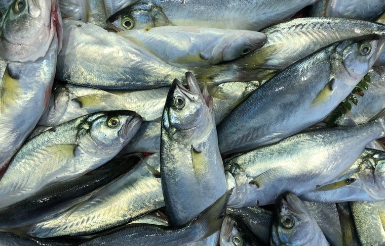    Shutterstock/FOTODOM