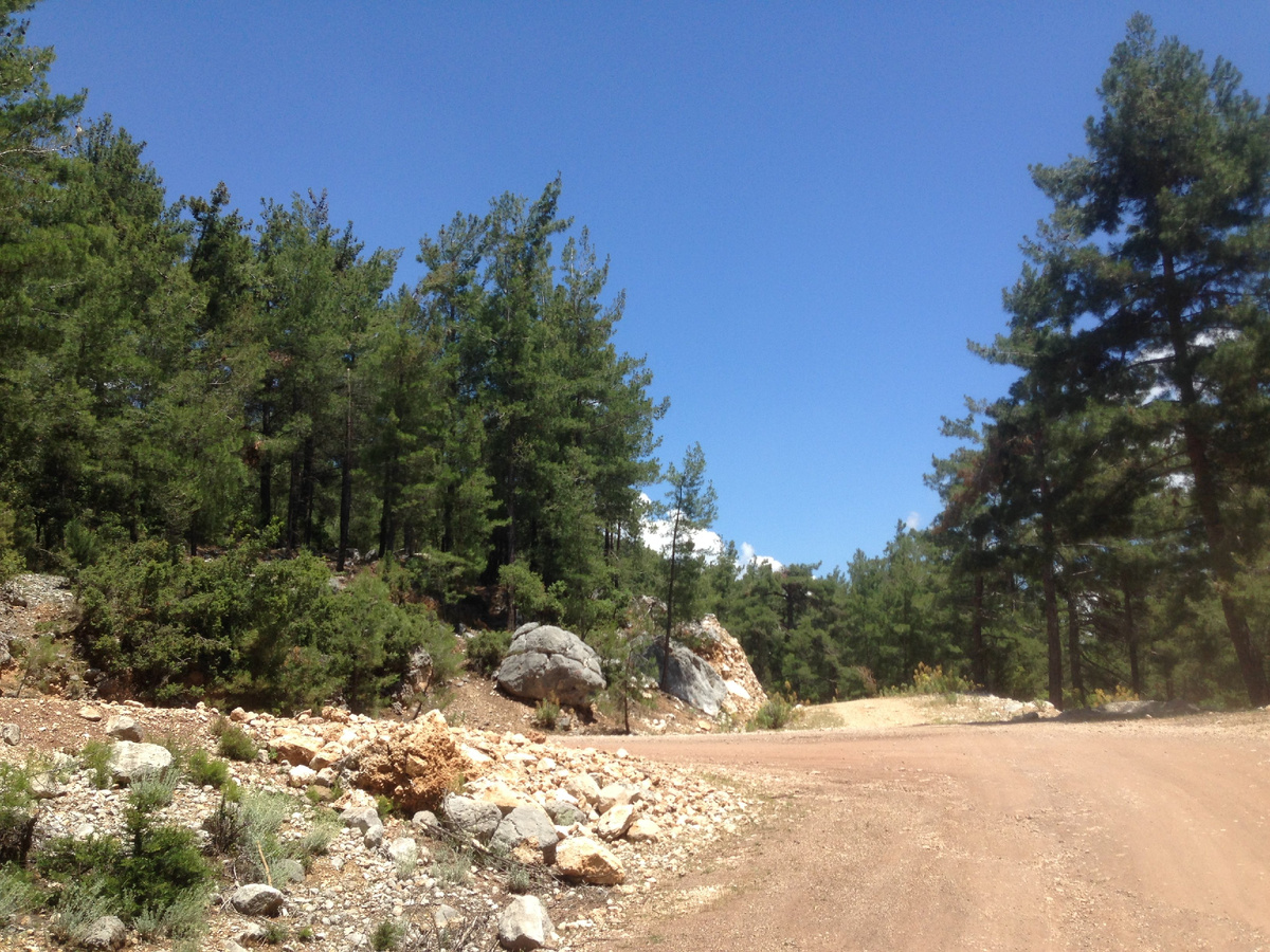 Виды из автомобиля